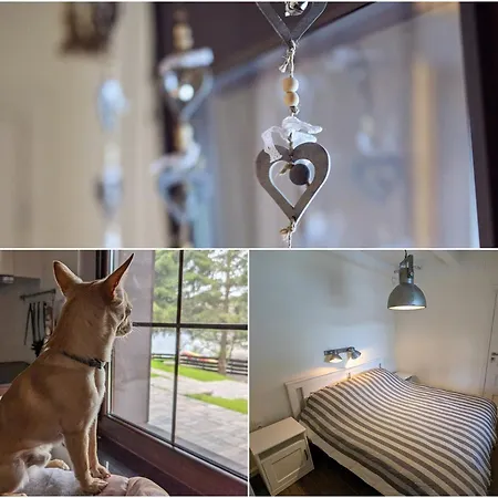 Letniskowy - Lesna Przystan