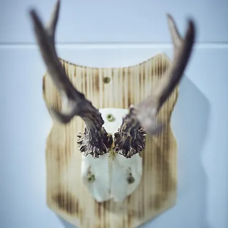 Letniskowy - Lesna Przystan Lodge