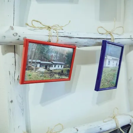 Letniskowy - Lesna Przystan Lodge *