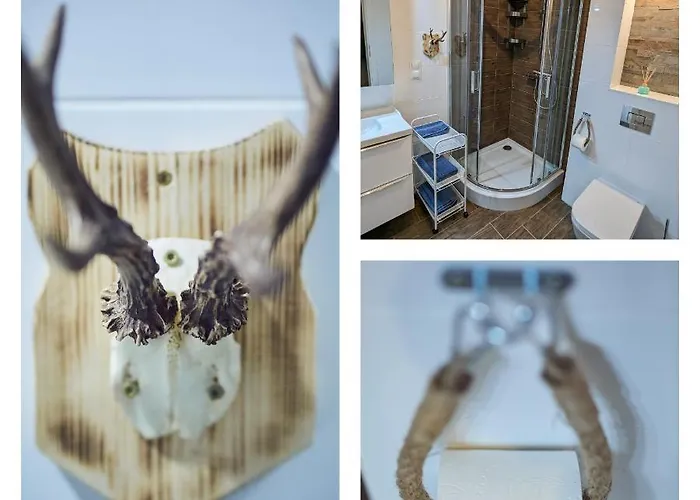 Lodge Letniskowy - Lesna Przystan *