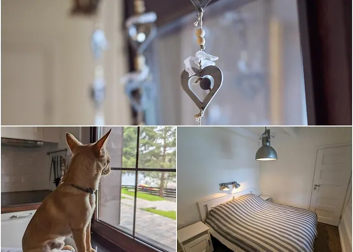 Letniskowy - Lesna Przystan