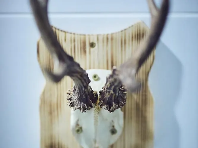 Letniskowy - Lesna Przystan Lodge