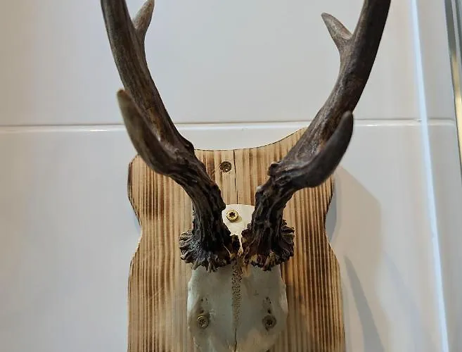 Letniskowy - Lesna Przystan Lodge Lubowo (Koszalin)