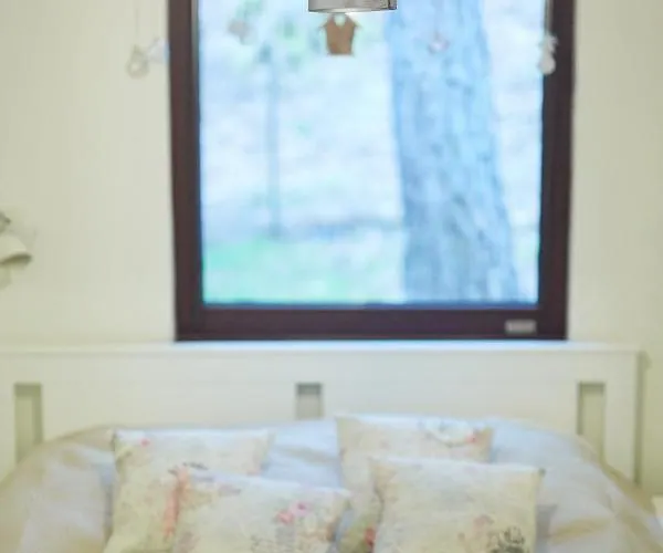 Lodge Letniskowy - Lesna Przystan *