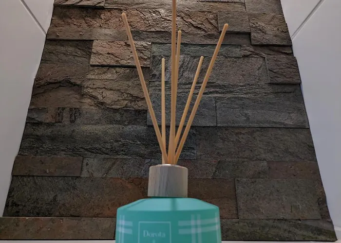 Letniskowy - Lesna Przystan *